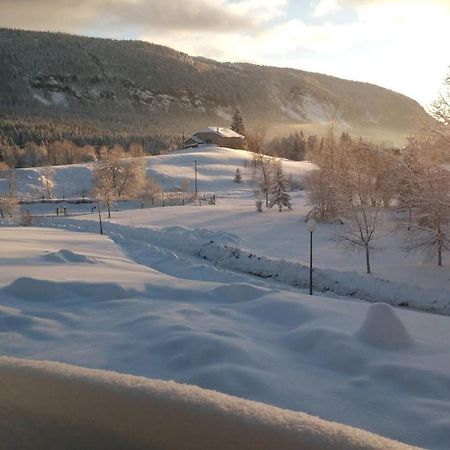 Les Chamois Apartment Lajoux Bagian luar foto