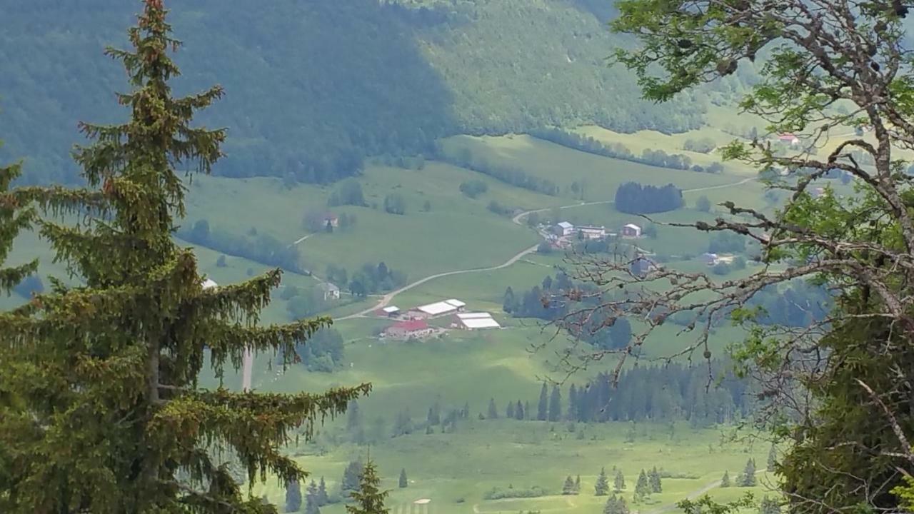 Les Chamois Apartment Lajoux Bagian luar foto