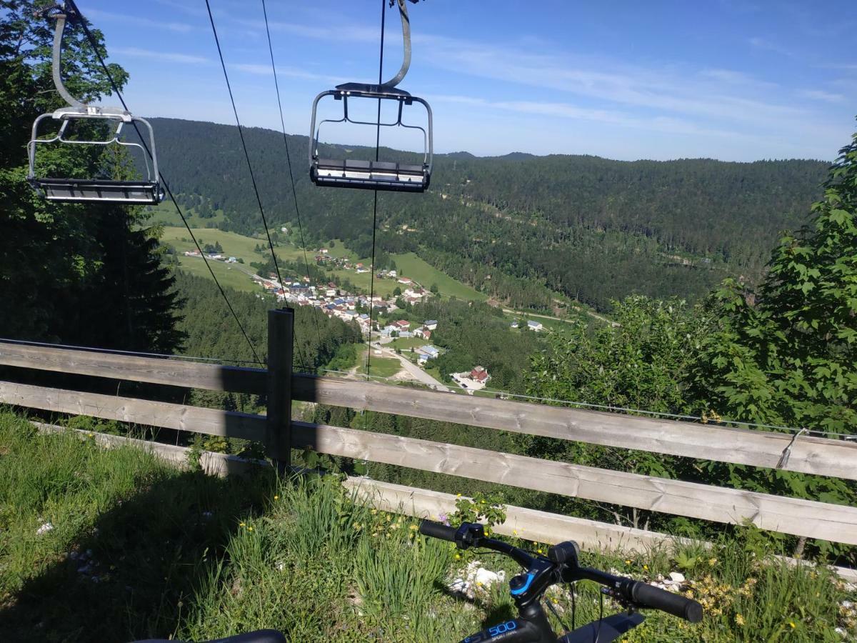 Les Chamois Apartment Lajoux Bagian luar foto