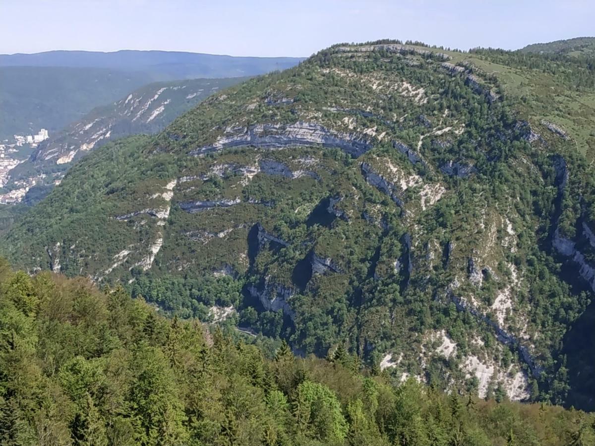 Les Chamois Apartment Lajoux Bagian luar foto