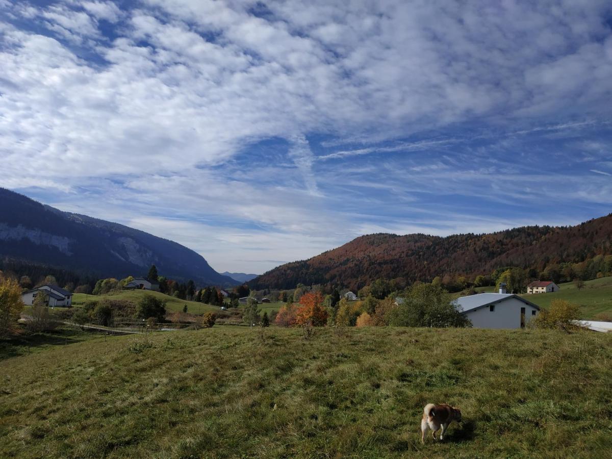 Les Chamois Apartment Lajoux Bagian luar foto