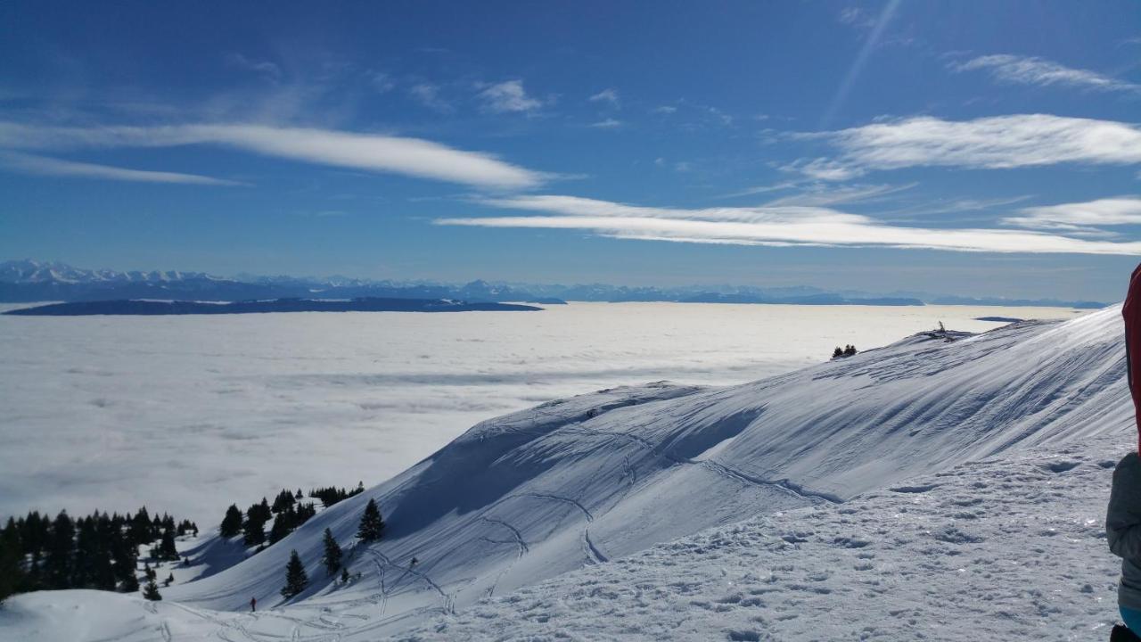 Les Chamois Apartment Lajoux Bagian luar foto